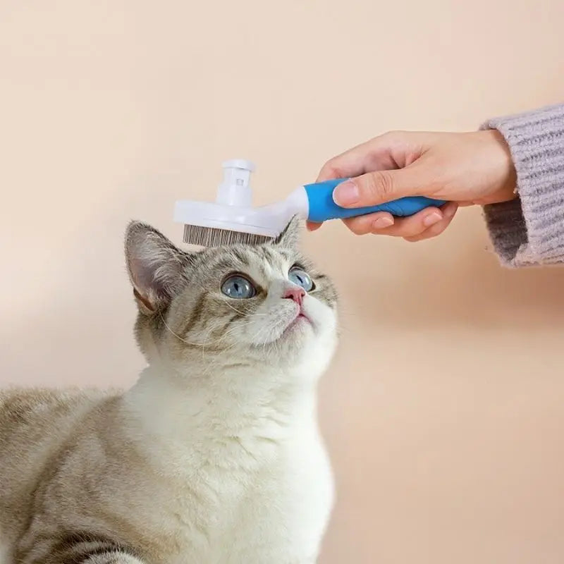 Escova Removedora de Pelos De Cães E Gatos Suave e Leve